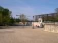  jardin des tuileries quasi désert